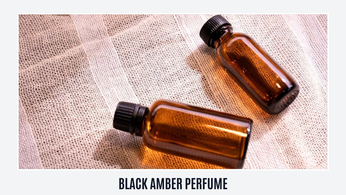 black amber perfume