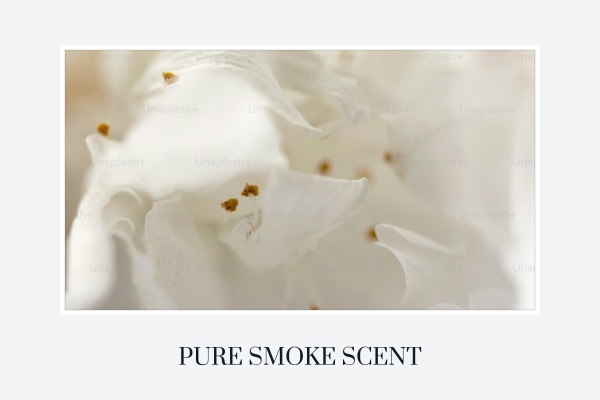 pure smoke scent
