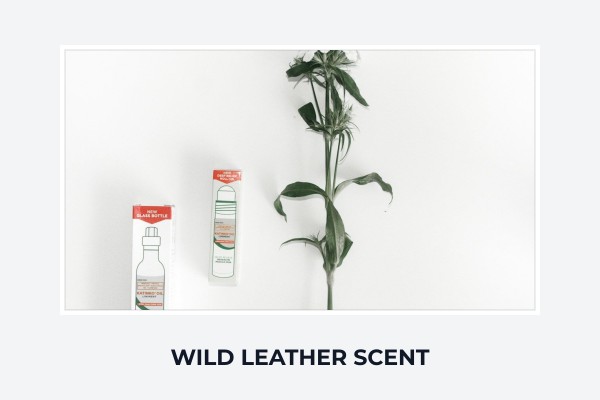 wild leather scent